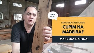 Cupim na madeira o que fazer Fernando responde [upl. by Aisac]