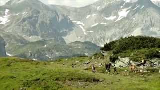 Fishermans Friend StrongmanRun Austria 2015  Trailer [upl. by Salomie]