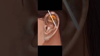 ASMR  Ear cleaning Asmr ear cleaning outer asmr asmr ear cleaning [upl. by Arreip]