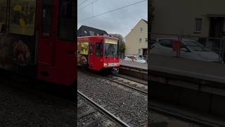 Einfahrt B80D Solo Linie 17 Fahrt Ende in Rodenkirchen  stadtbahn köln kvb [upl. by Lertsek]