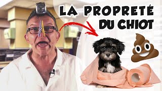 Dr Wouf  LA PROPRETE DU CHIOT [upl. by Marlin]