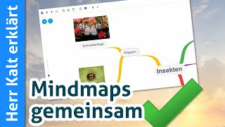 TeamMapper Anleitung – Mindmaps gemeinsam erstellen [upl. by Jovitta]