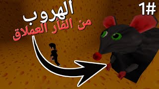 Cheese Escape1الهروب من الفأر العملاق [upl. by Airetnohs]