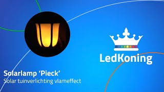 Solarlamp Pieck  solar tuinverlichting vlameffect [upl. by Ahtelahs]