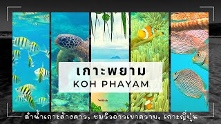 เกาะพยาม ระนอง ดำน้ำเกาะค้างคาว ชมวิวอ่าวเขาควาย เที่ยวเกาะญี่ปุ่น Koh Phayam Island Thailand [upl. by Llerraj]