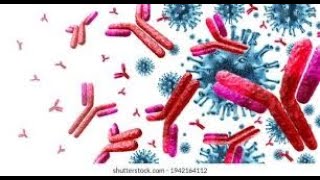 bases moleculares inmunología [upl. by Atsocal]