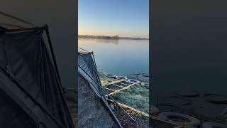 Dawn chorus at Berners Hall fishery [upl. by Zahara]