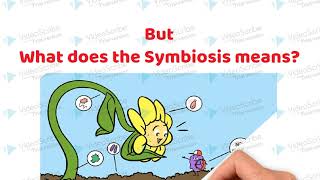 Symbiotic Association between the roots of Leguminous plants and Rhizobium bacteria [upl. by Reisfield]