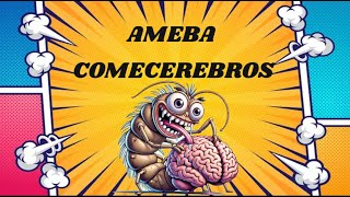 AMEBA COMECEREBROS NAEGLERIA FOWLERI [upl. by Aietal]