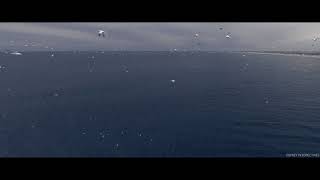 The Gannet Migration  by Osprey Perspectives [upl. by Opaline]