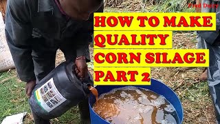 How to make quality corn silage Part two [upl. by Golanka]