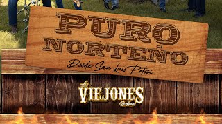 Los Viejones de Linares Puro Norteño [upl. by Aw]