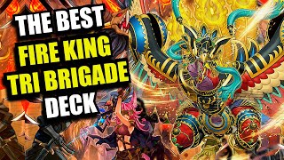 YuGiOh Fire King TriBrigade Deck Profile  January 2024  BUDGET FRIENDLY COMPETITIVE [upl. by Romalda538]