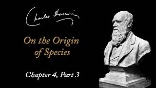 Charles Darwin On the Origin of Species  Chapter 4 Part 3 Audiobook [upl. by Fedirko]