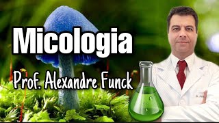 MICOLOGIA FUNGOS  PROF ALEXANDRE FUNCK [upl. by Rehteh]