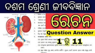 10th class life science chapter 4 question answer  10th class life science rechan question answer [upl. by Aniri]