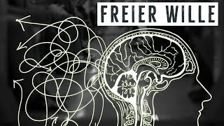 Freier Wille amp Determinismus – Warum ich das Problem nicht verstehe [upl. by Alcus]