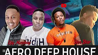 AFRO DEEP MUSIC  BEE BAR SELECTION  MIXED BY DJY MZEEKAY  14 NOV 2024 [upl. by Ardnatal]