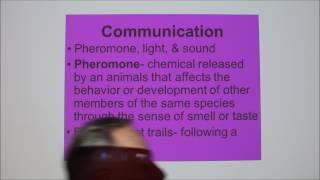 Lecture 10Pheromones and the Vomeronasal Organ [upl. by Gertrudis]