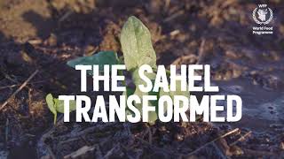 The Sahel transformed 2021 [upl. by Puff738]