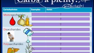 Carbohydrates Lipids Proteins IB Biology [upl. by Anasor898]