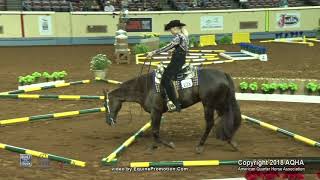 A Judges Perspective 2018 AQHYA 1418 Trail World Champion [upl. by Jesse]