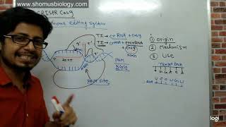 Crispr cas9 gene editing explained [upl. by Sumaes502]