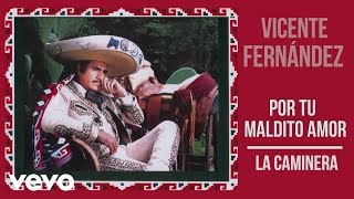 Vicente Fernández  La Caminera Cover Audio [upl. by Esinaej759]