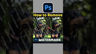 Watermark Remove In Adobe Photoshop ✅ photoshop adobephotoshop photoshoptutorial [upl. by Ennaitak]