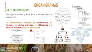 Organigramas [upl. by Naugan]