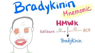 Bradykinin  with a Mnemonic [upl. by Selimah]