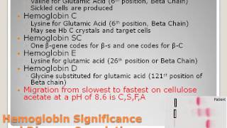 Porphyrins and Hemoglobin [upl. by Faye708]