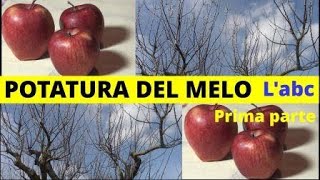 POTATURA DEL MELO nozioni base OS 71 [upl. by Nydroj132]