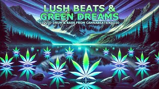 sunocom  Faded Lights v1  Liquid Drum amp Bass Instrumental EDM Cannabis Inspired Beats [upl. by Shah379]