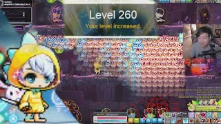 The Gentle level up to 260  Maplestory Shadower [upl. by Aleck12]