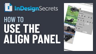 InDesign HowTo Use the Align Panel Video Tutorial [upl. by Wendell]