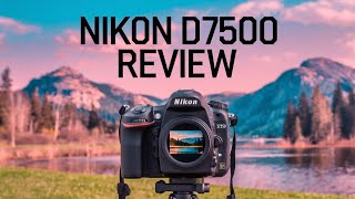 NIKON D7500 Review  Best Nikon Camera in 2024 [upl. by Thissa]