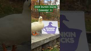 Our calendar is finally ready 🦆🗓️Ducks DunkinDucks Pets 2024Calendar PetCalendar Animals [upl. by Brandes195]