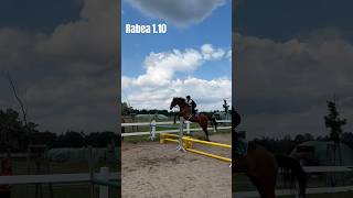 Rabea Schorfheide Springtunier 2024Rabea showjumpingfyp equestrian horseriding foryou [upl. by Penn]