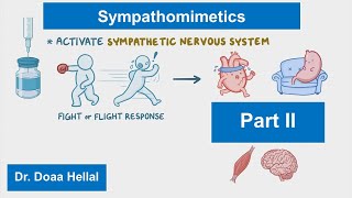 Sympathomimetics part 2 [upl. by Nauqe]