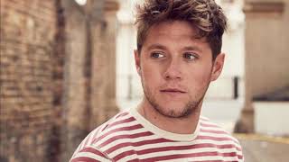 Niall Horan  Wasted NEW SONG 1 HOUR [upl. by Theona]