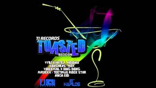 Toasted Riddim Mix TJ Records Dancehall Maticalise [upl. by Nerta879]