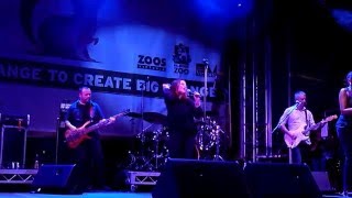 Belinda Carlisle  Summer Rain  Live at Melbourne Zoo 12 March 16 [upl. by Kurland]