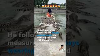 😱🔥🔥🔥 alligator wildlife crocodiles shorts entertainment viralshort [upl. by Erihppas]