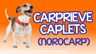 Carprieve Caplets  carprofen previously known as Norocarp [upl. by Bywoods]