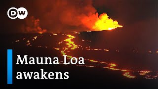 Mauna Loa volcano eruption threatens busy Hawaii highway  DW News [upl. by Joshua]