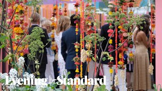 Chelsea Flower Show 2023 A sneak peak [upl. by Lotte]