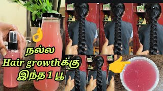 Must try 👉Best flower for hair  Conditioner  hairpack amp Serum 3 in 1 benefits for hair👌 [upl. by Wolsniw206]