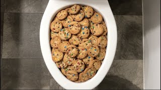 Will it Flush  Chips Ahoy Candy Cookies [upl. by Reyna770]