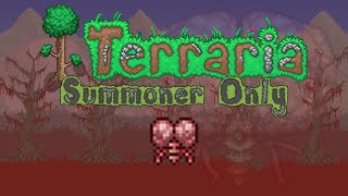 Terraria Summoner Only  Expert Brain of Cthulhu [upl. by Ellenej589]